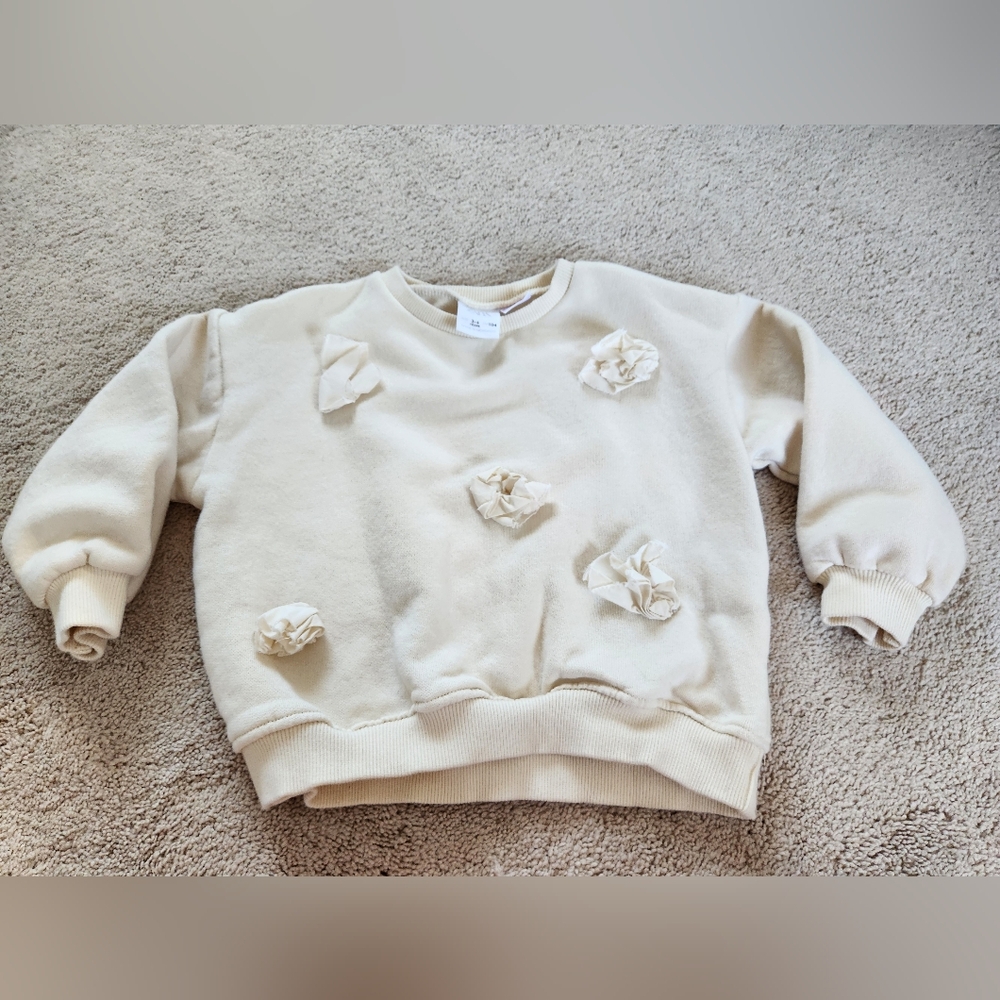 Zara Toddler Sweater - Size 3-4